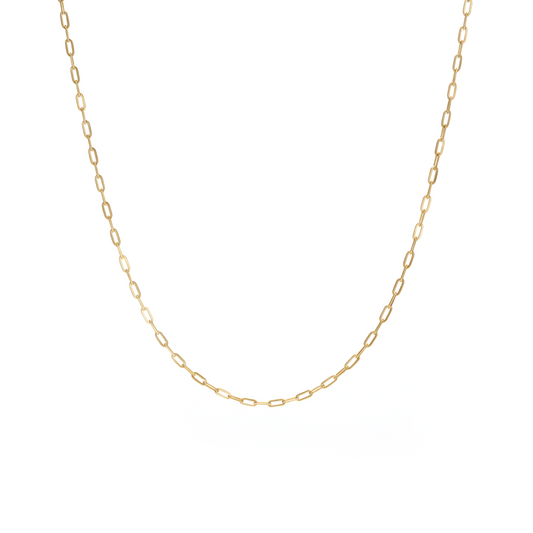 18k gold plated Truemans paperclip necklace