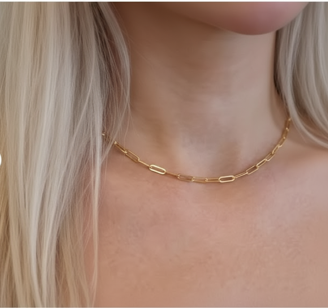 18k gold plated Truemans paperclip necklace
