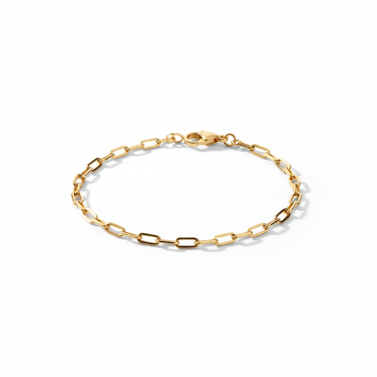 Bass Strait 18k Gold Chain Bracelet